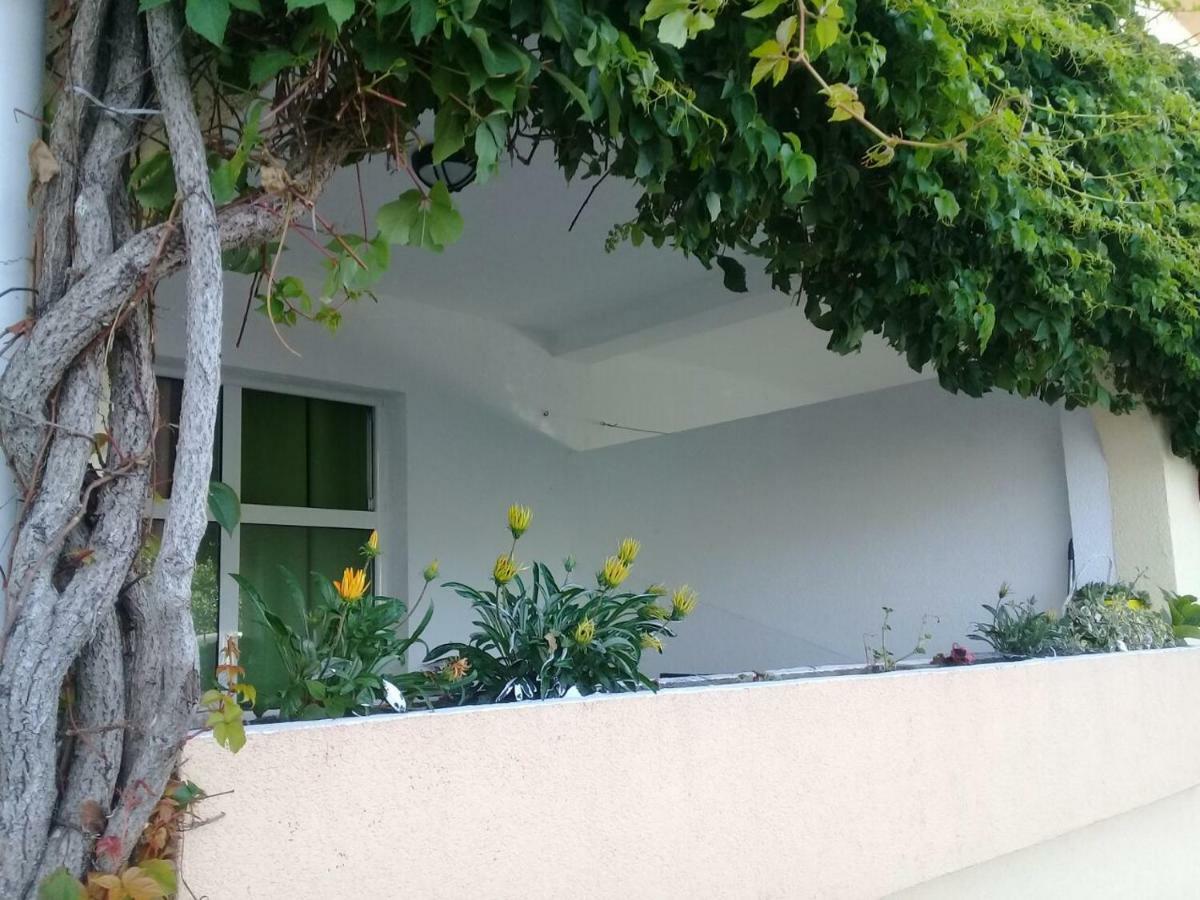 Montenegrina Apartment Budva Eksteriør bilde